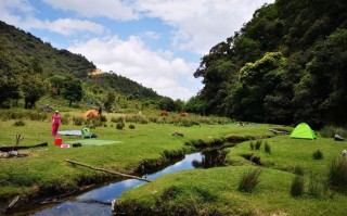 竹山天气预报15天（竹山天气预报15天查询百度百科）