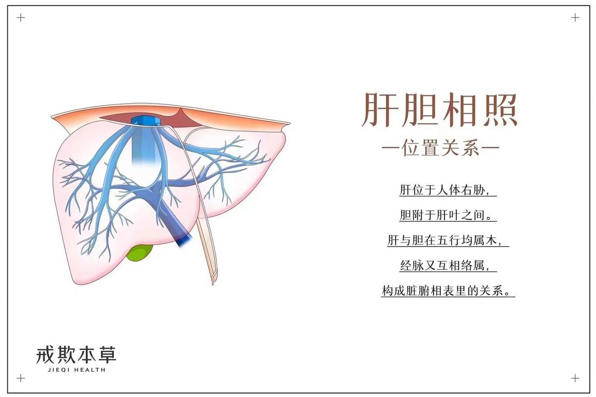 肝胆相照是什么意思,肝胆相照的本意是什么-第2张图片-文史