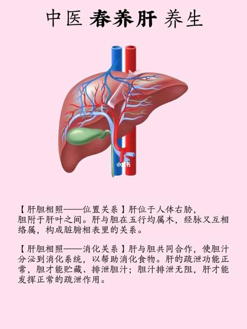 肝胆相照是什么意思,肝胆相照的本意是什么-第5张图片-文史