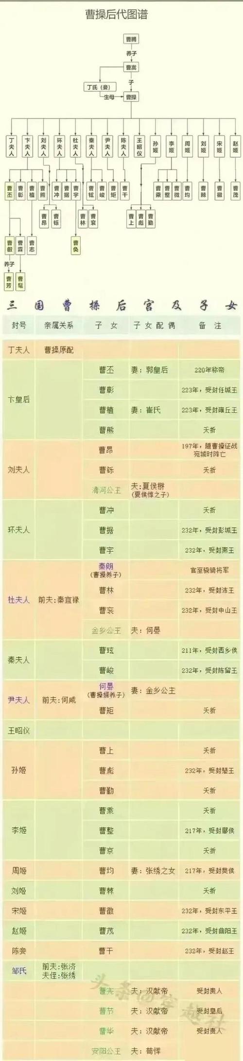 三国枭雄曹操的妻子只有十五人（曹操的妻子有哪些）-第3张图片-文史